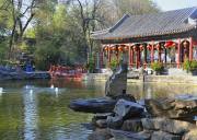 精品團(tuán)-皇家漫游4晚5日游